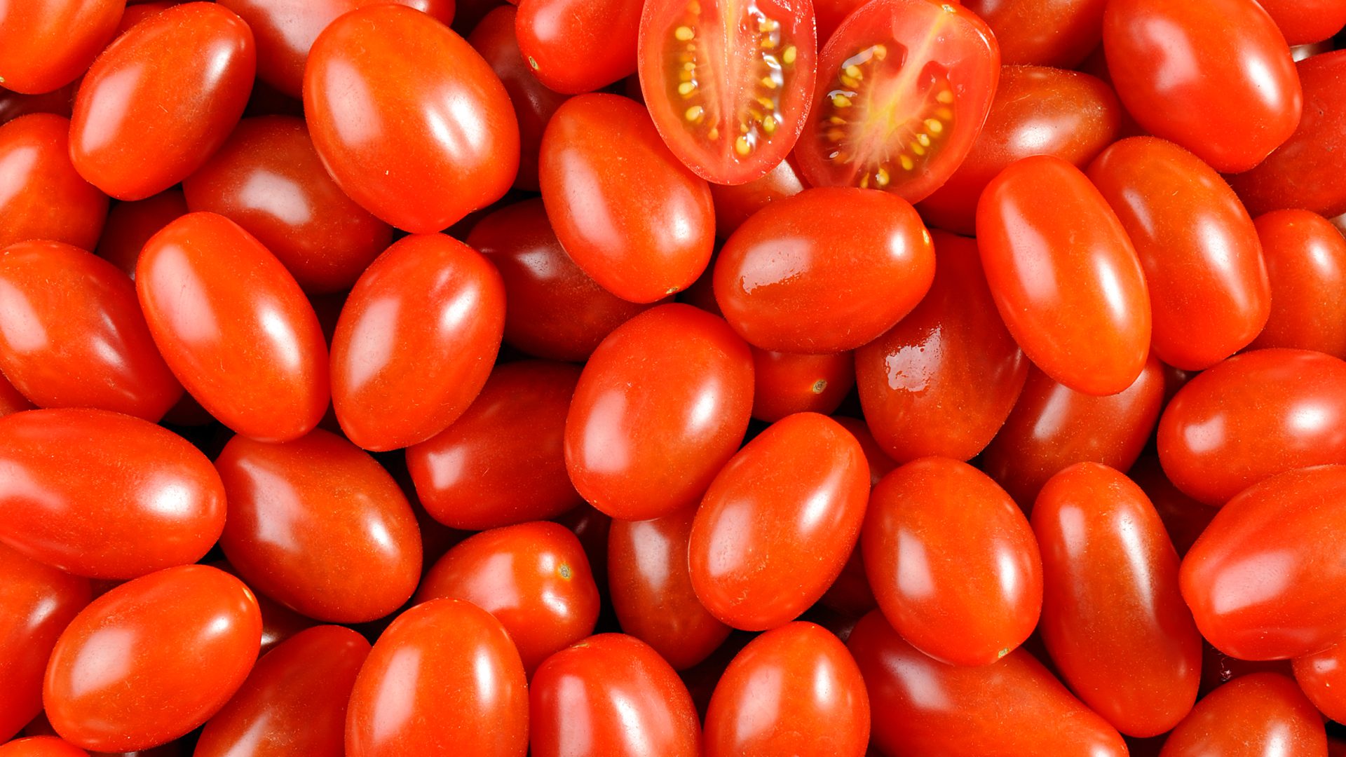 Tomate
